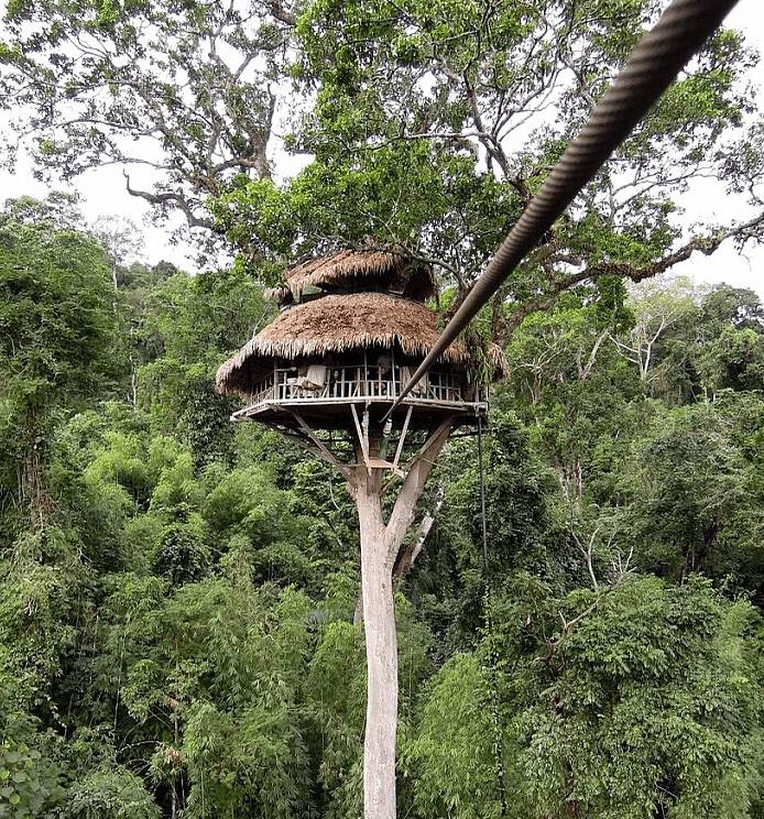 potret kocak rumah pohon gak biasa (reddit.com/mkm48)