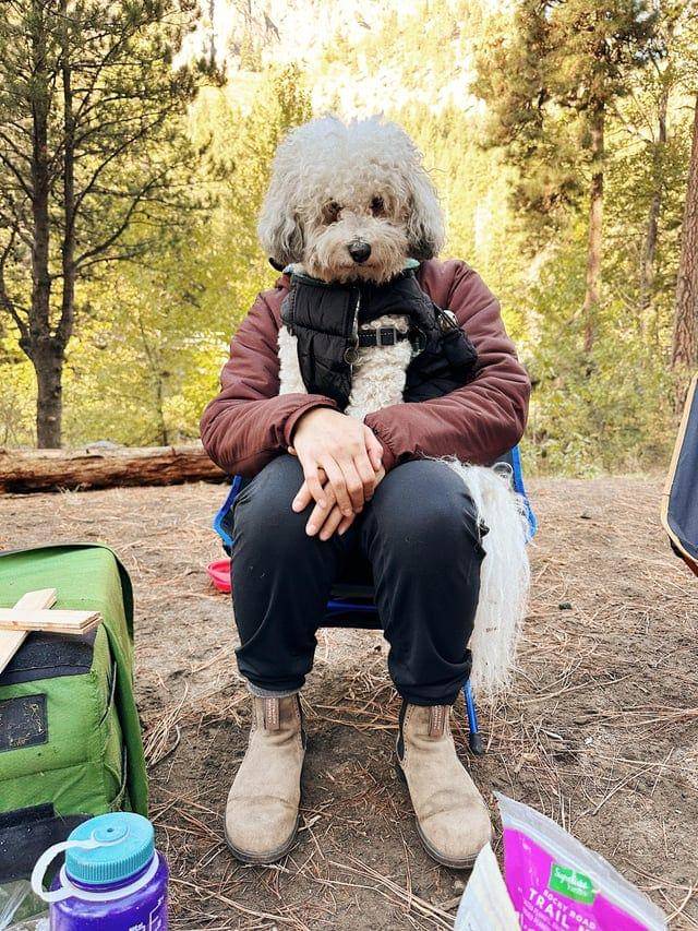 Potret kocak hewan dengan angle yang pas (reddit.com/user/jeremyay)