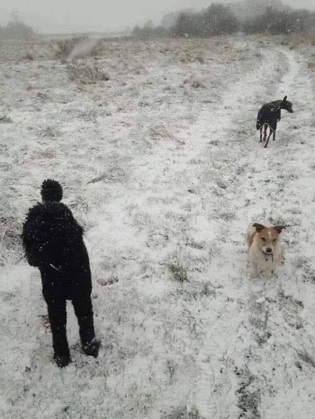 Potret kocak hewan dengan angle yang pas (reddit.com/user/inaramoonu)