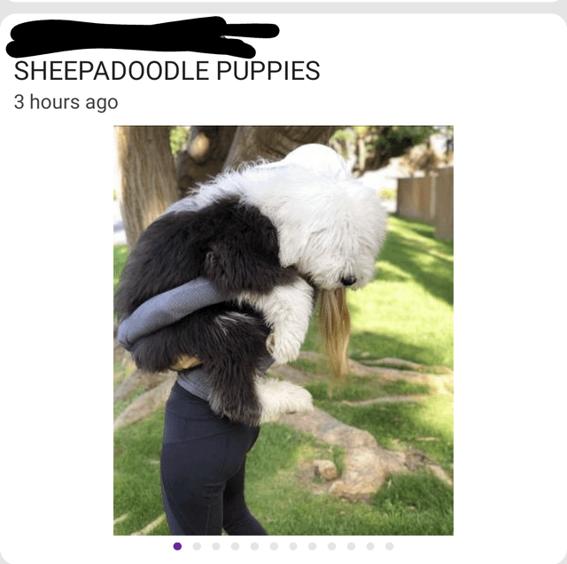 Potret kocak hewan dengan angle yang pas (reddit.com/user/fisht33th)