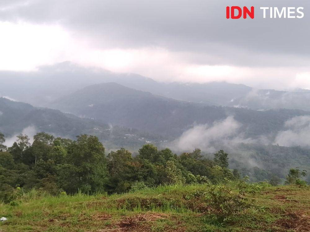 Perbukitan yang berada di Desa Rumah Liang (IDN Times/Eko Agus Herianto)