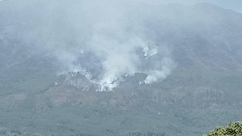Karhutla di Gunung Lawu belum padam mengarah keselatan dan puncak/ IDN Times/ Riyanto