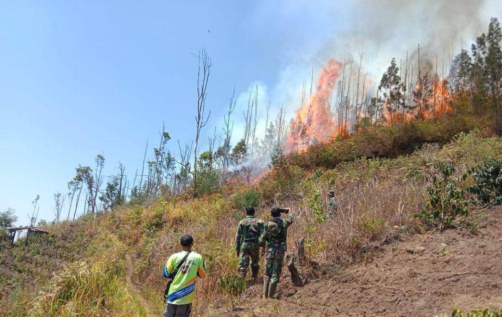 Satgas Karhutla dari TNI AD Kodim 0804 Magetan saat padamkan api/ IDN Times/ Istimewa