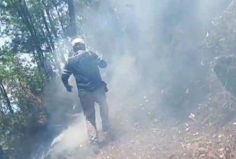 Api diklaim mereda di hutan dan lahan gunung Lawu Ngawi/ IDN Times/ Istimewa