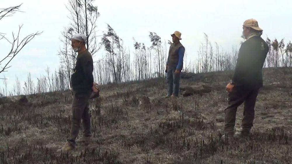 Api diklaim mereda di hutan dan lahan gunung Lawu Ngawi/ IDN Times/ Istimewa