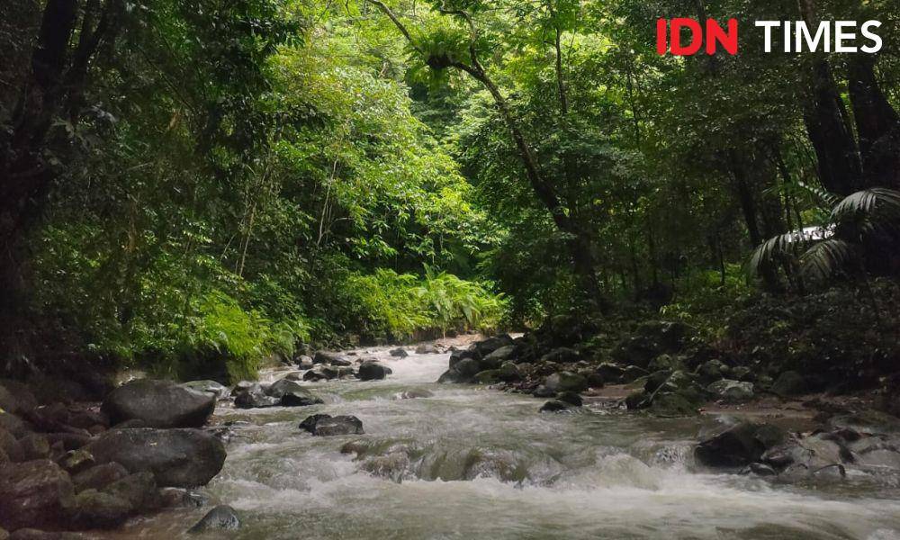 Sungai yang berada di Desa Rumah Liang (IDN Times/Eko Agus Herianto)