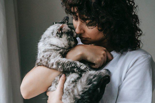 6 Hal Wajib Kamu Ketahui Saat Mau Adopsi Hewan, Gak Asal Pelihara!