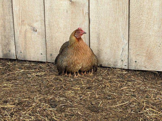 Potret kocak hewan dengan angle yang pas (reddit.com/user/IAlbatross)