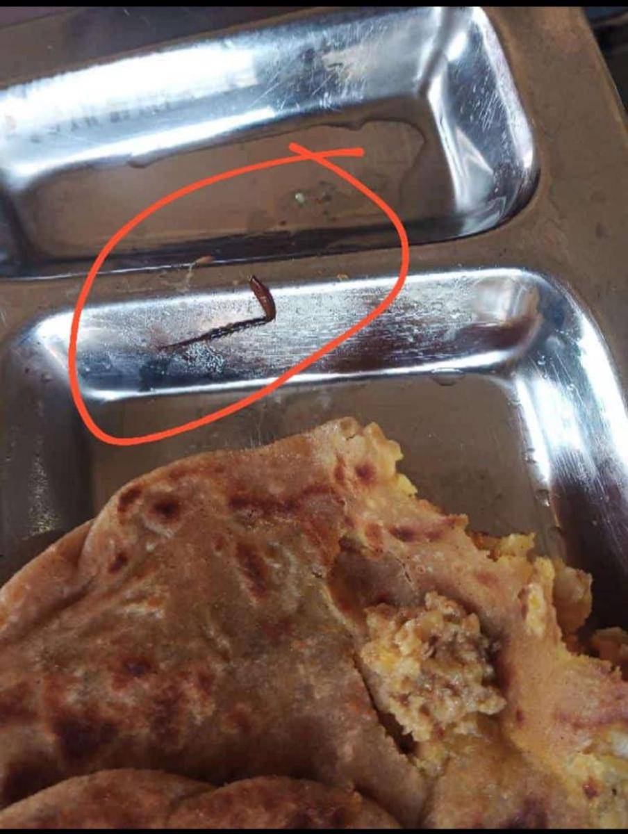 potret momen ngeselin di kantin sekolah (reddit.com/user/PumpkinNational1802)
