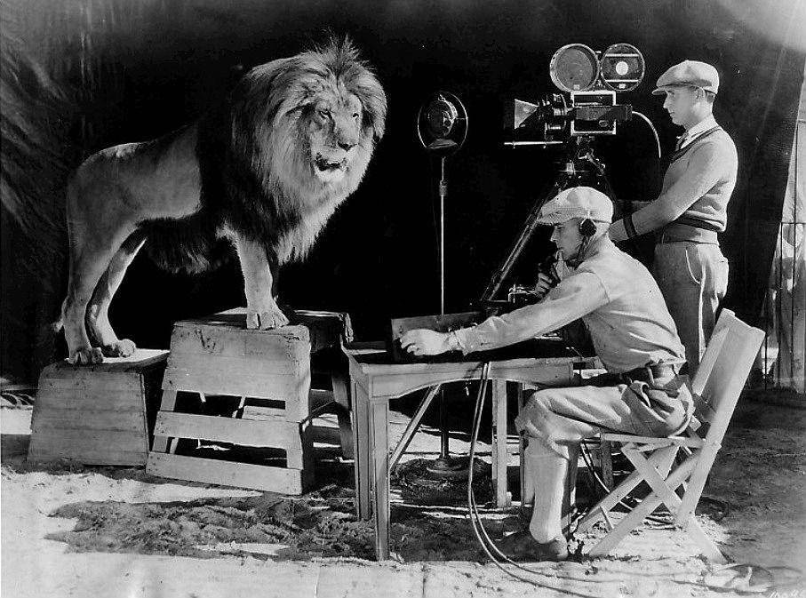 singa hidup MGM (dok. MGM)