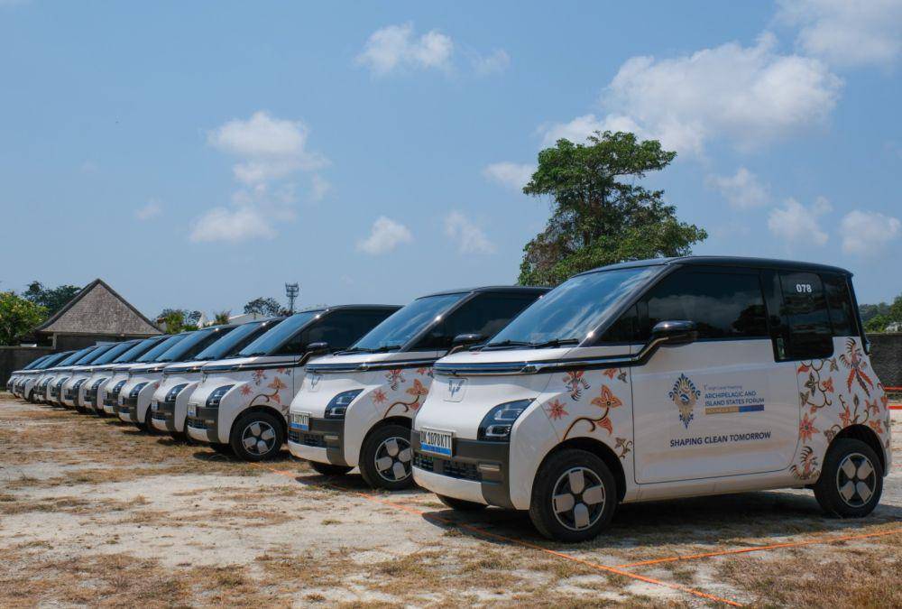 Menggunakan livery khusus (Wuling)