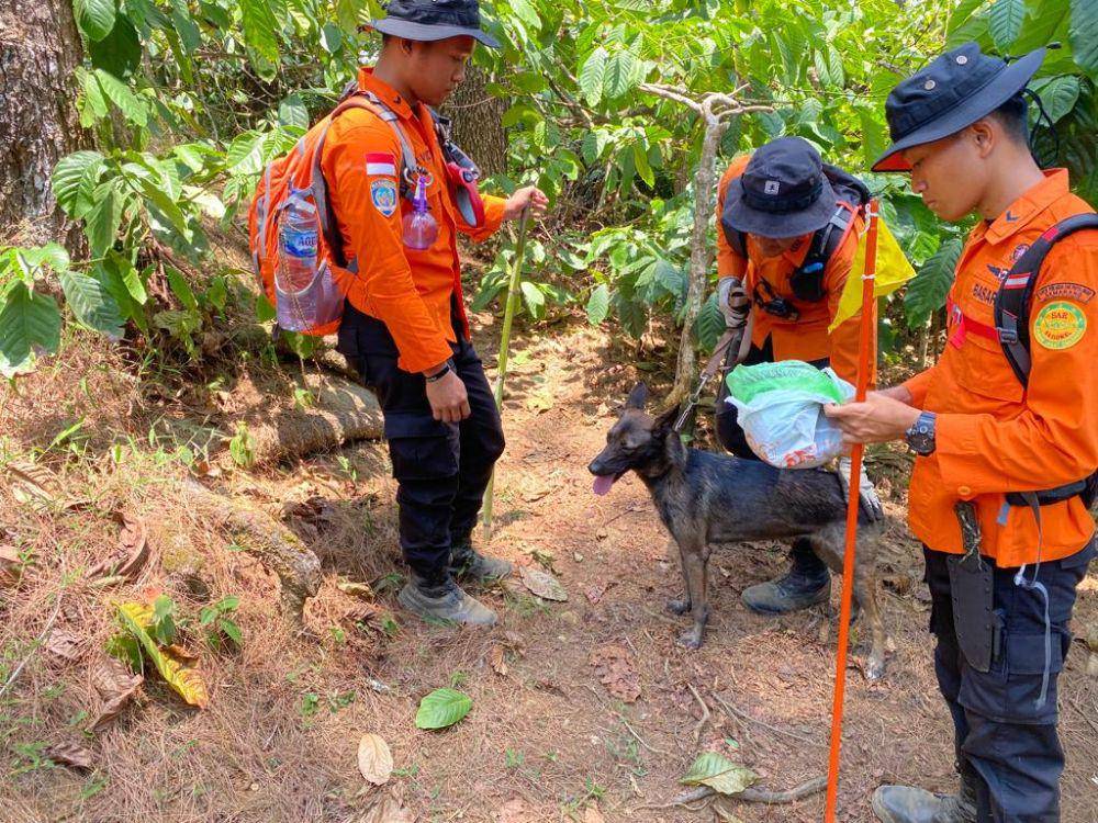 Seekor anjing pelacak juga dibawa tim SAR untuk mencari keberadaan Suwardi di lereng Gunung Lerep Ungaran. (IDN Times/Dok Humas Basarnas Semarang)