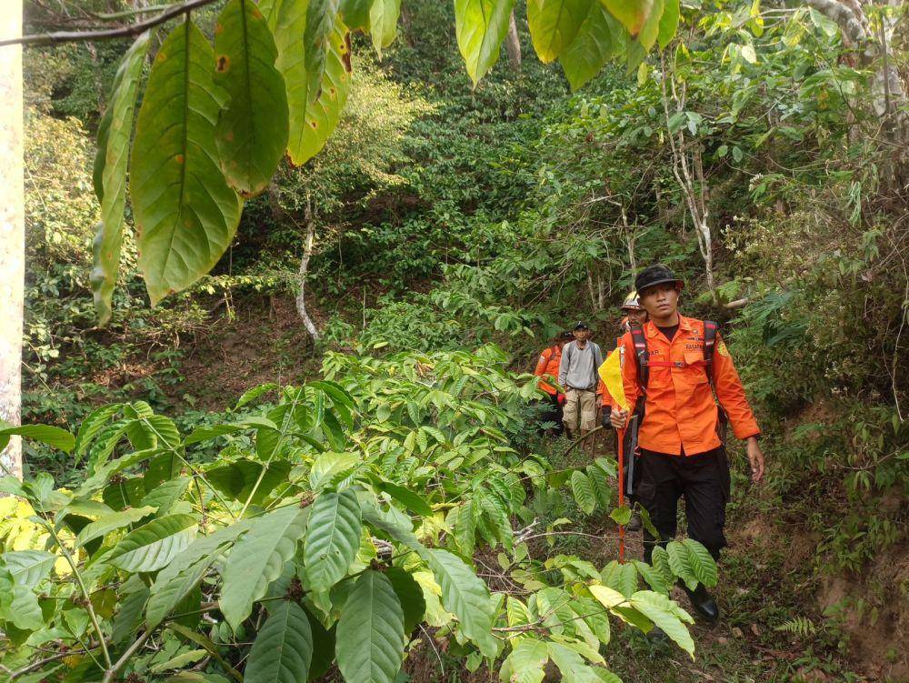 Rombongan tim SAR melacak jejak Suwardi di hutan pinus Lerep Ungaran. (IDN Times/Dok Humas Basarnas Semarang)