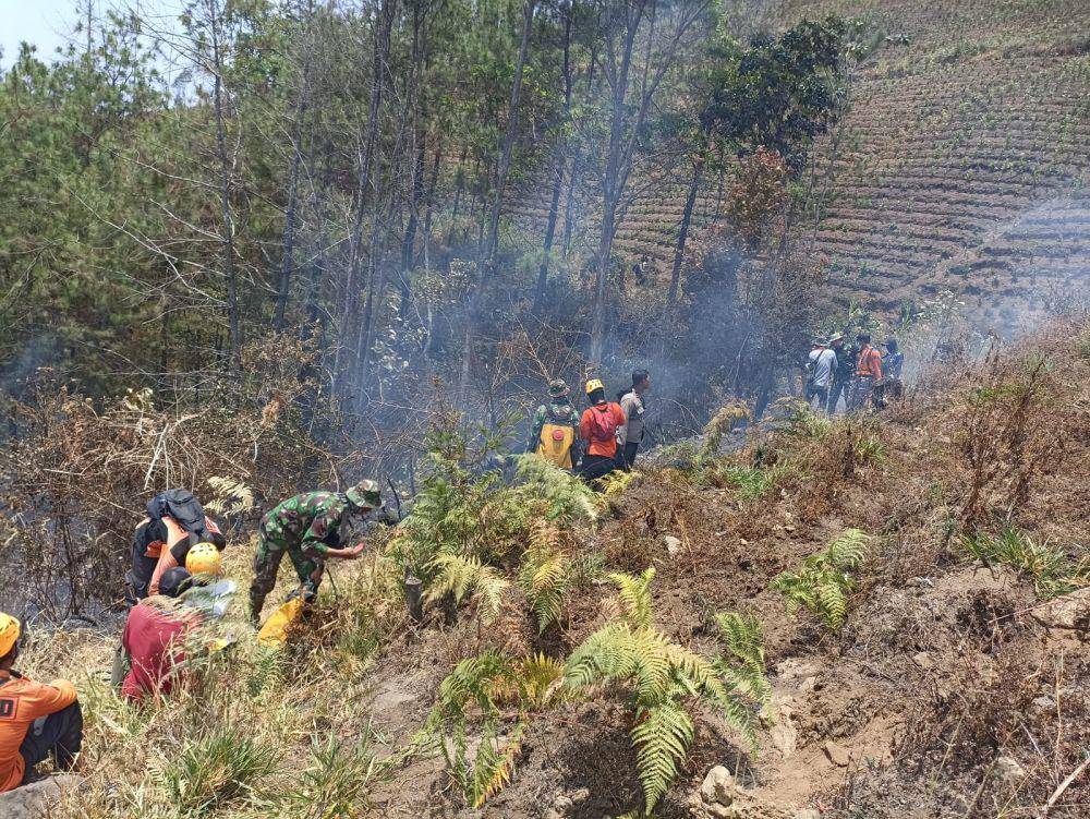 Petugas gabungan saat padamkan api secara manual di petak 73/A RPH Bedagung Magetan/ IDN Times/ Riyanto