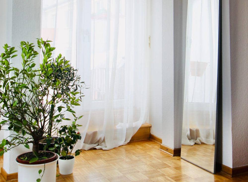 ilustrasi cermin di dekat jendela (pexels.com/ Beazy)