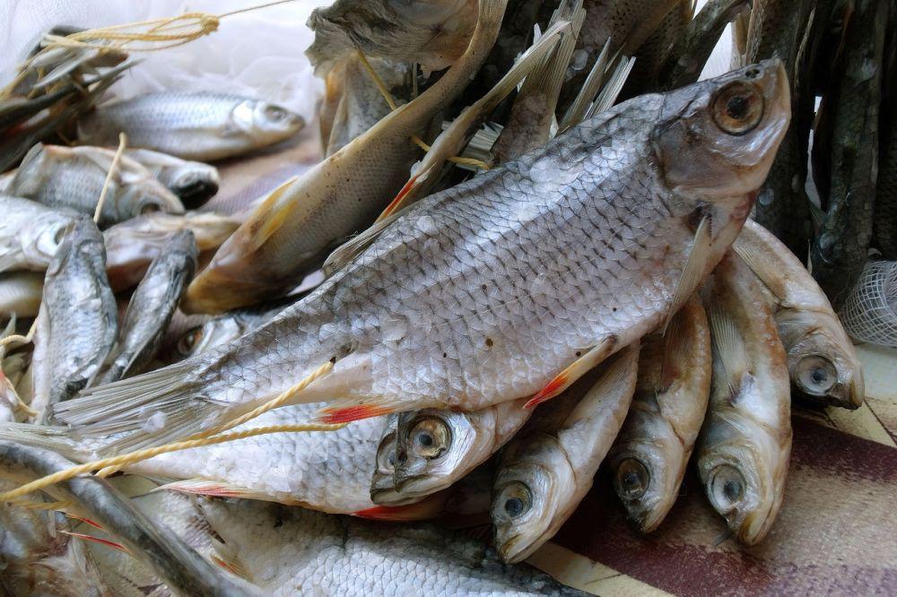 5 Cara Menggoreng Ikan Asin supaya Tidak Keras dan Alot
