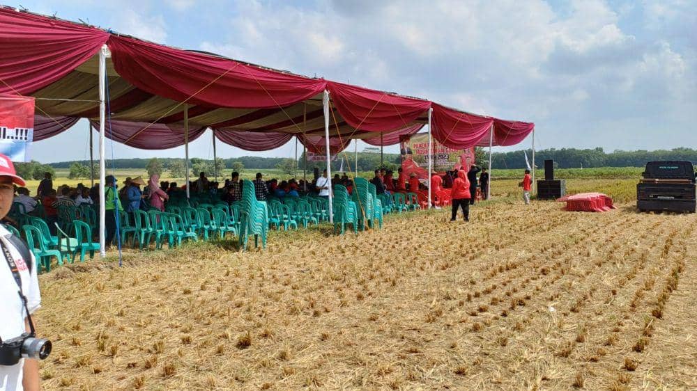 Dwinan Rahmandi pegiat petani milenial Lampung menghadiri panen raya musim gaduh di Desa Daya Asri, Kecamatan Tumijajar, Kabupaten Tulang Barat Barat, Selasa (10/10/2023). (IDN Times/ Istimewa).