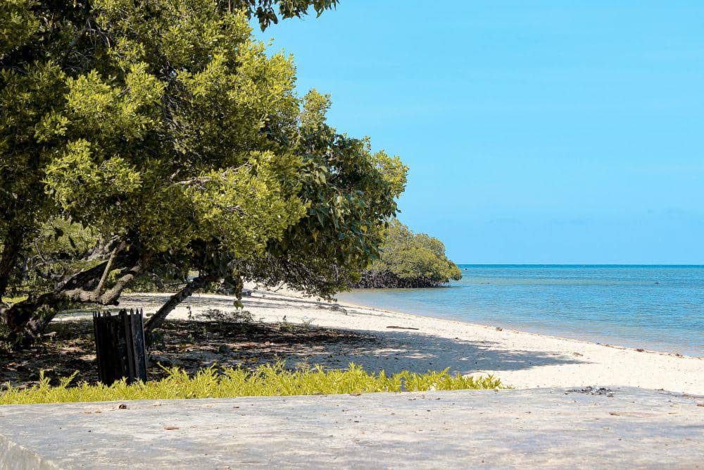 Taman Nasional Baluran (unsplash.com/Wahyu Trianto)