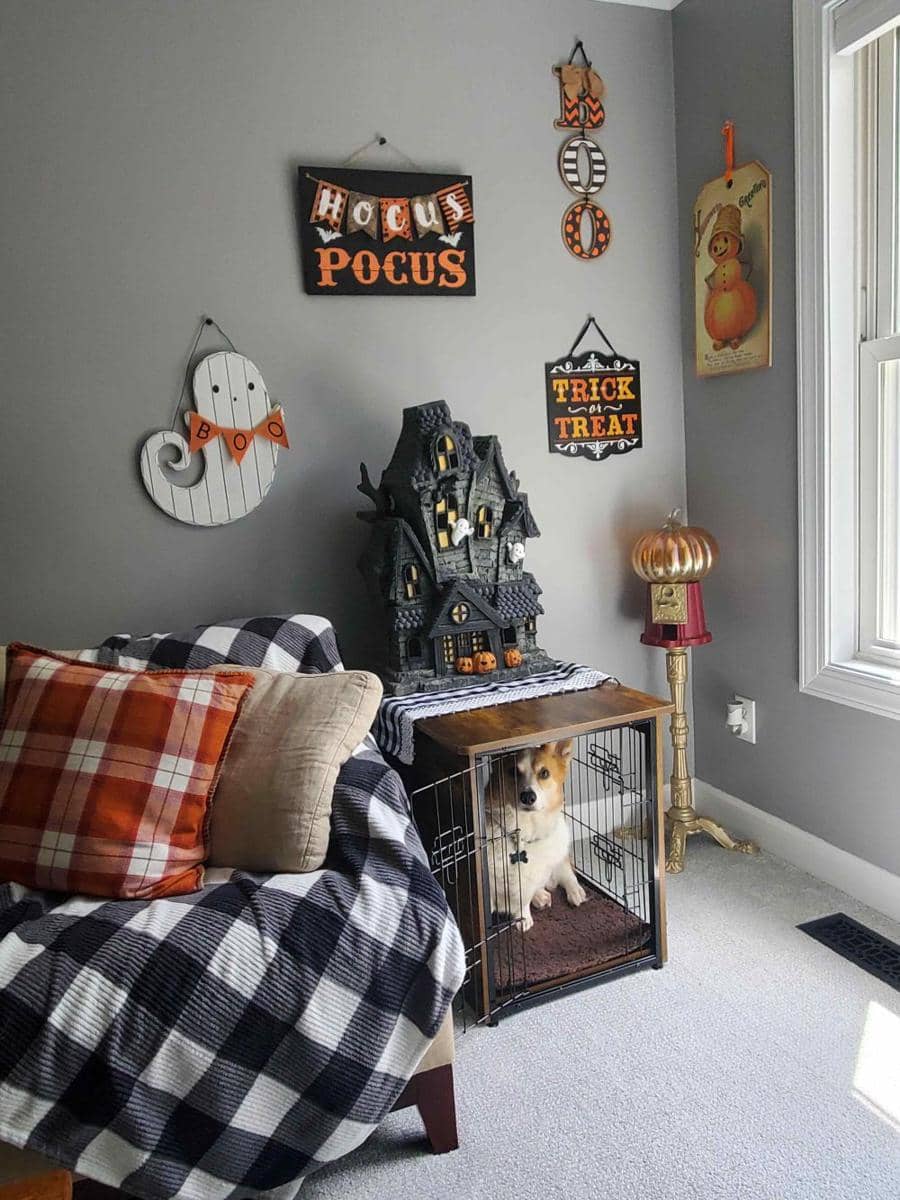 foto gemas anjing merayakan Halloween (reddit.com/user/OrangesMarmalade)