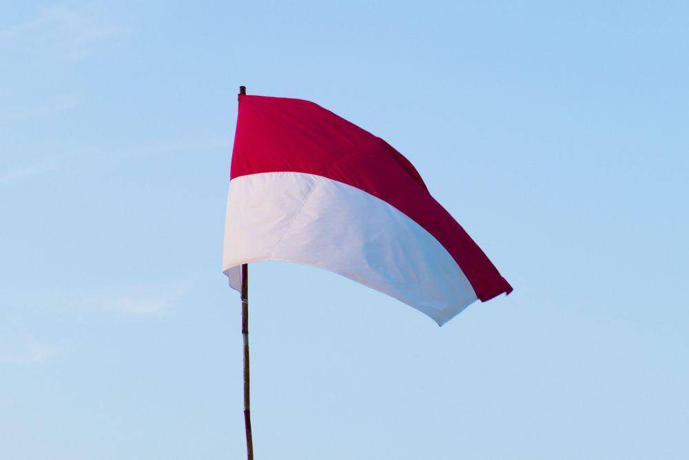 ilustrasi bendera merah putih (unsplash.com/James Tiono)