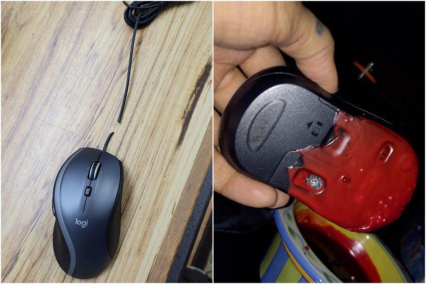 9 Momen Apes Mouse Rusak, Digigit Kelinci Hingga Masuk ke Cat