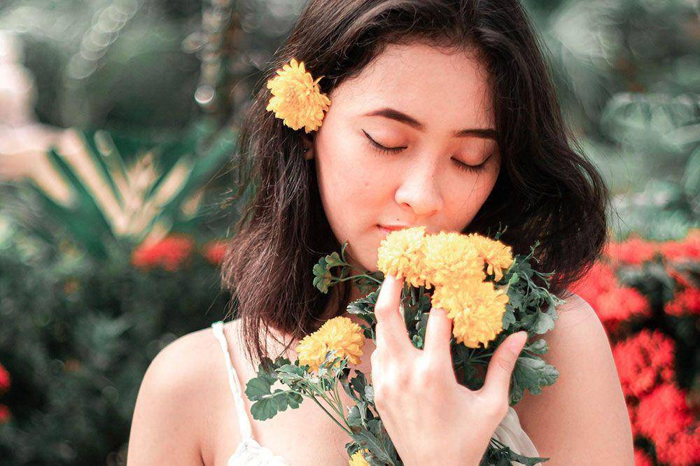 Ilustrasi bunga krisan (pexels.com/Penumbra Captures)
