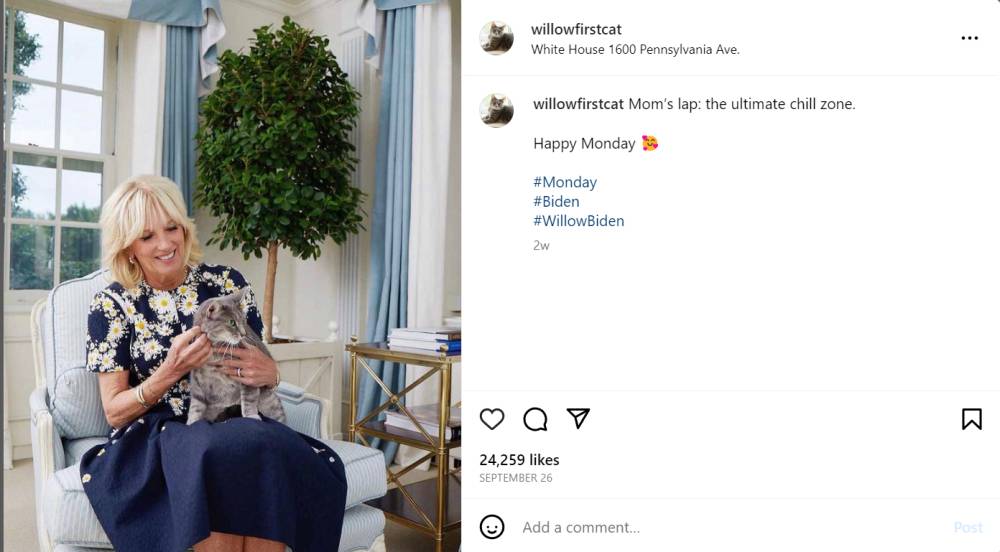 Willow bersama Jill Biden (instagram.com/willowfirstcat)