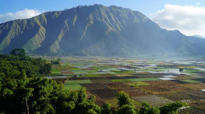 Bukit Selong (google.com/maps/lombok pirates)
