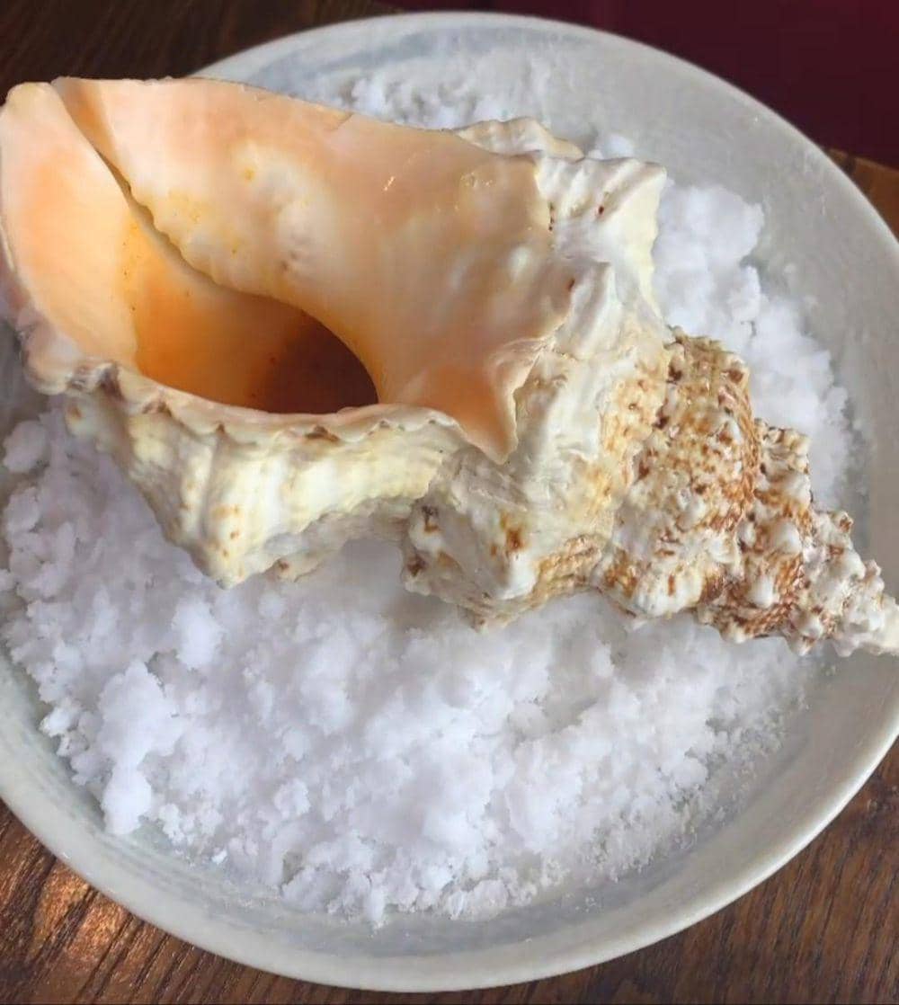 potret penyajian menggunakan cangkang kerang (reddit.com/user/lilcyphu)