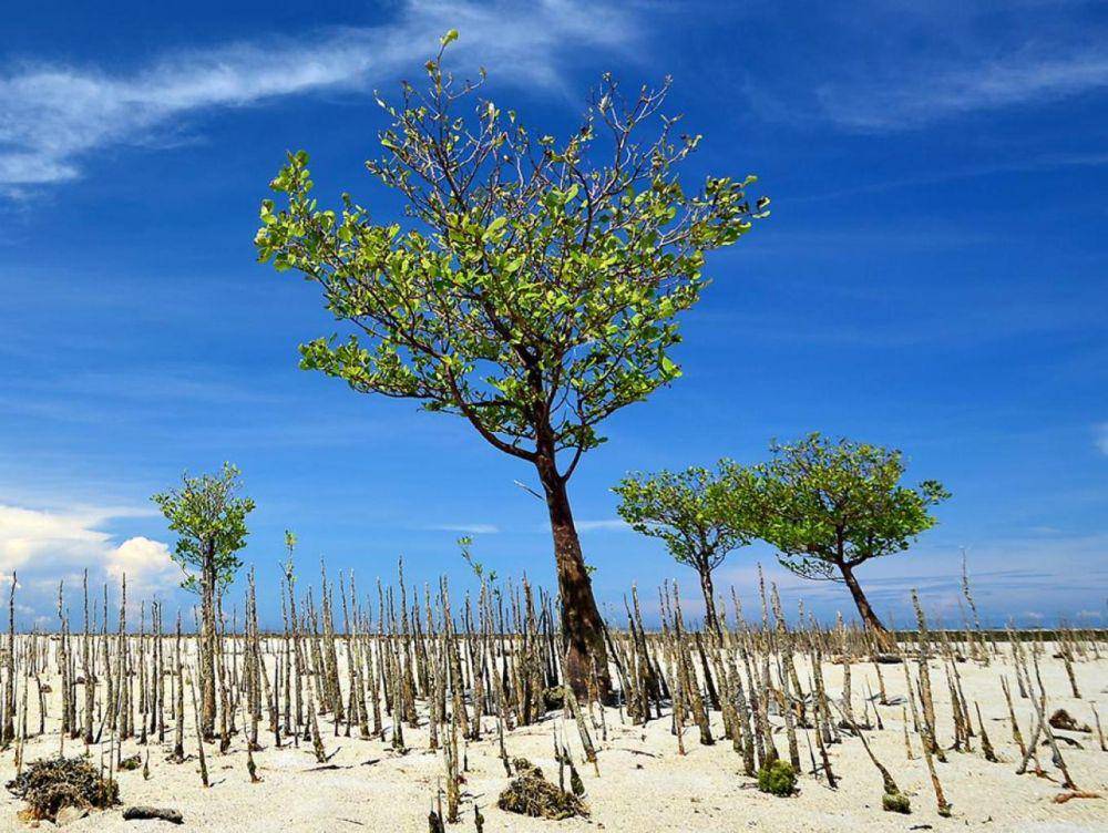 Potret salah satu tempat wisata di Desa Wisata Bontang Kuala (jadesta.kemenparekraf.go.id)