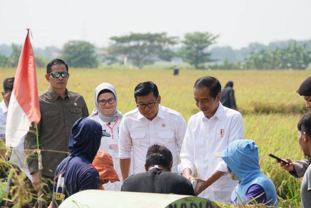 Presiden memantau produksi padi di Indramayu bersama Plt Kementerian Pertanian (Mentan) Arief. (Dok. Kementan PSP)