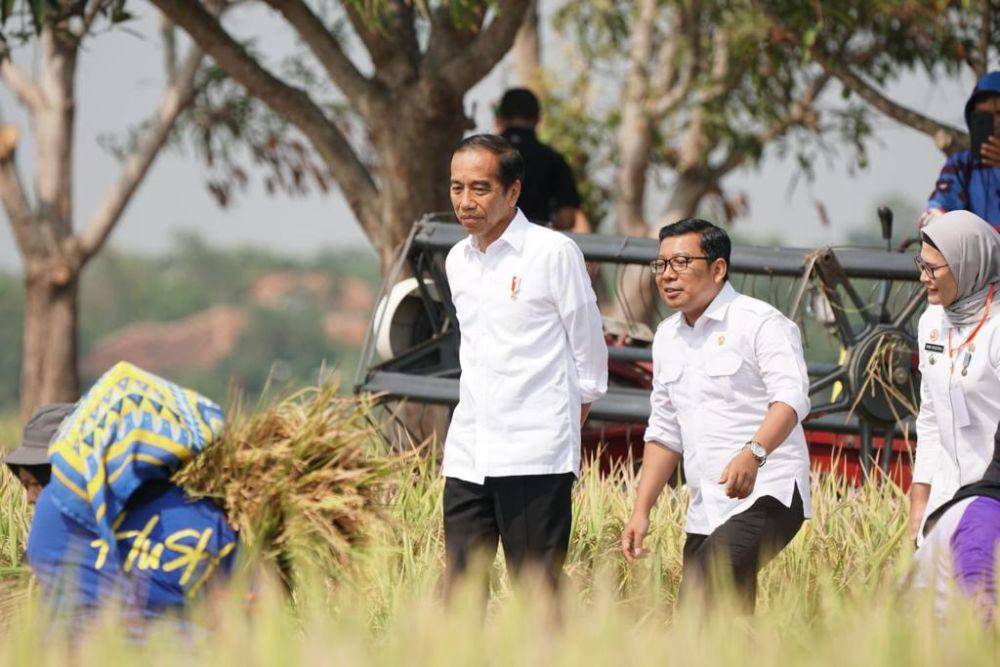 Presiden memantau produksi padi di Indramayu bersama Plt Kementerian Pertanian (Mentan) Arief. (Dok. Kementan PSP)