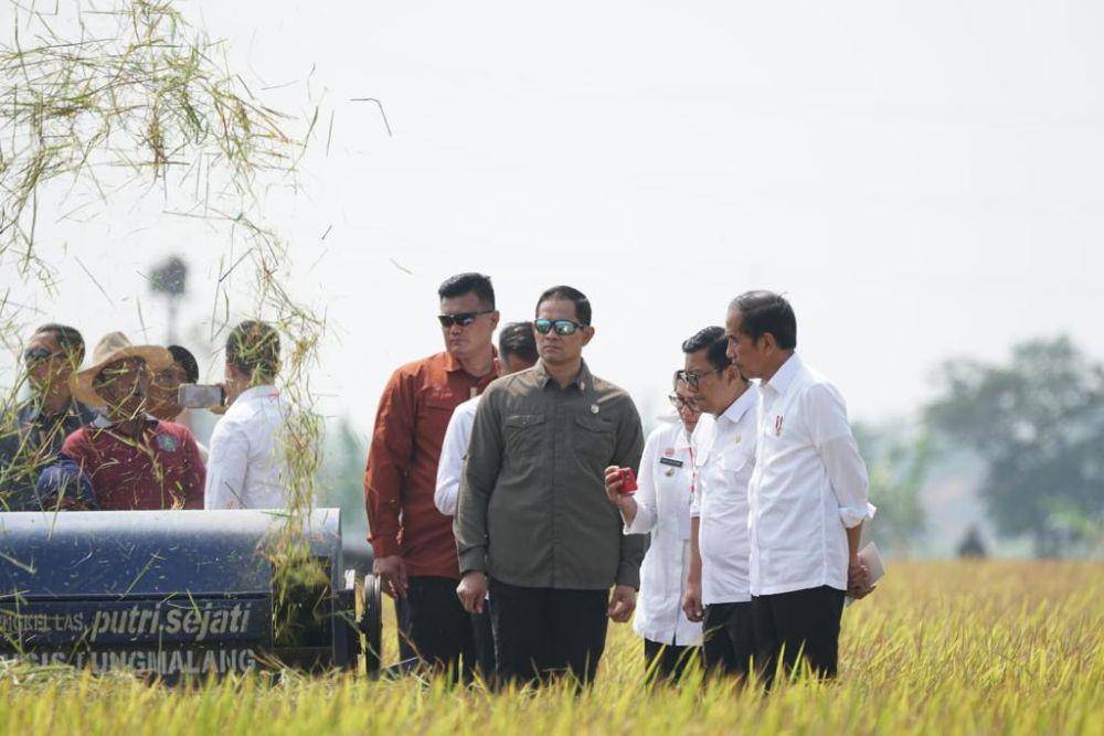 Presiden memantau produksi padi di Indramayu bersama Plt Kementerian Pertanian (Mentan) Arief. (Dok. Kementan PSP)