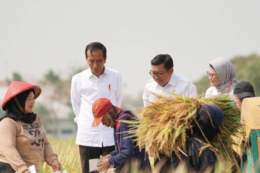 Presiden memantau produksi padi di Indramayu bersama Plt Kementerian Pertanian (Mentan) Arief. (Dok. Kementan PSP)