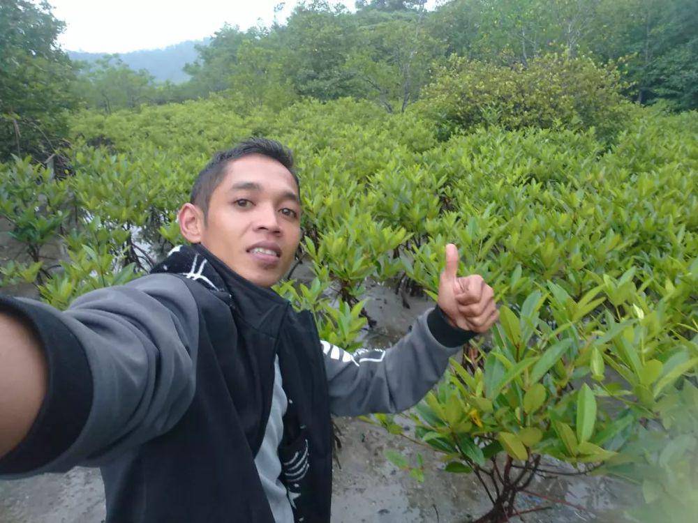 ilustrasi tempat penangkaran mangrove di Desa Sungai Pinang (instagram.com/andespindeepwestsumatera)