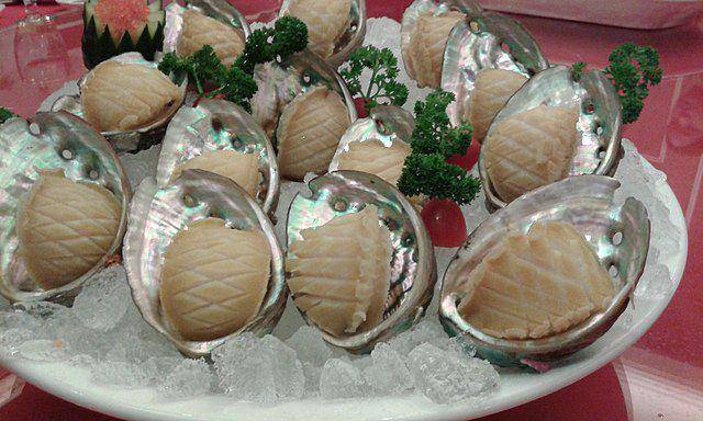 ilustrasi abalone (commons.wikimedia.org/Pauloleong2002)