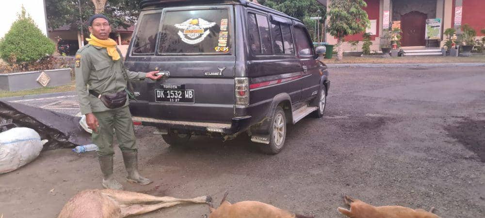 14 Ekor Satwa di Taman Nasional Bali Barat Mati Diburu Orang