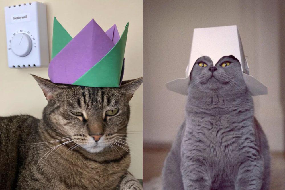 9 Foto Lucu Kucing Pakai Topi Kertas, Siapa yang Paling Bagus?