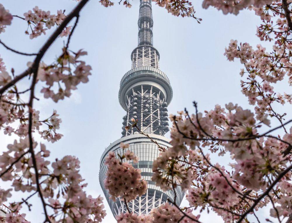Namsan Seoul Tower (unsplash.com/Robby McCullough)