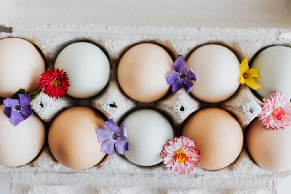 Perbedaan Warna Telur Ayam Cokelat dan Putih, Mana yang Harus Dipilih?