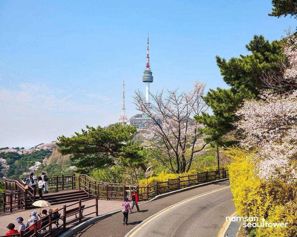 Namsan Seoul Tower (instagram.com/namsanseoultower)