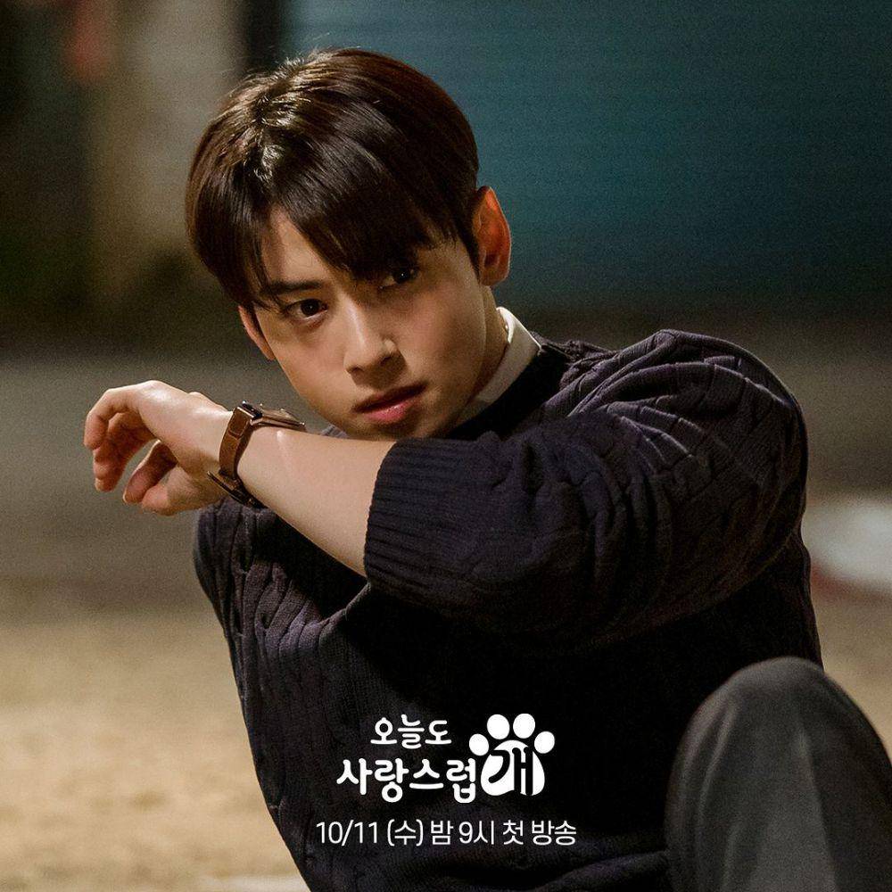still cuts drama A Good Day to Be a Dog (instagram.com/mbcdrama_now)