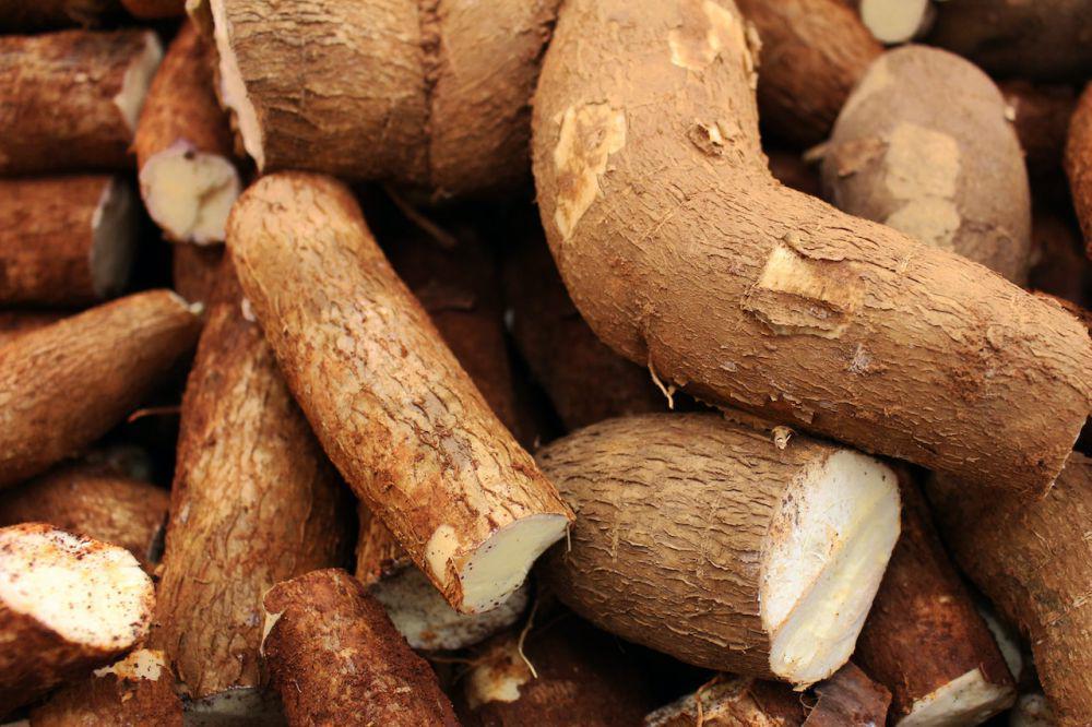 Peluang di Balik Hilirisasi Ubi Kayu, Cuan Ratusan Kali Lipat!