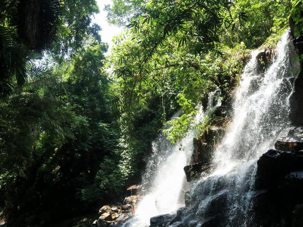 Suasana di sekitar air terjun yang dipenuhi pepohonan (Dok.Pribadi/Natalia Indah)