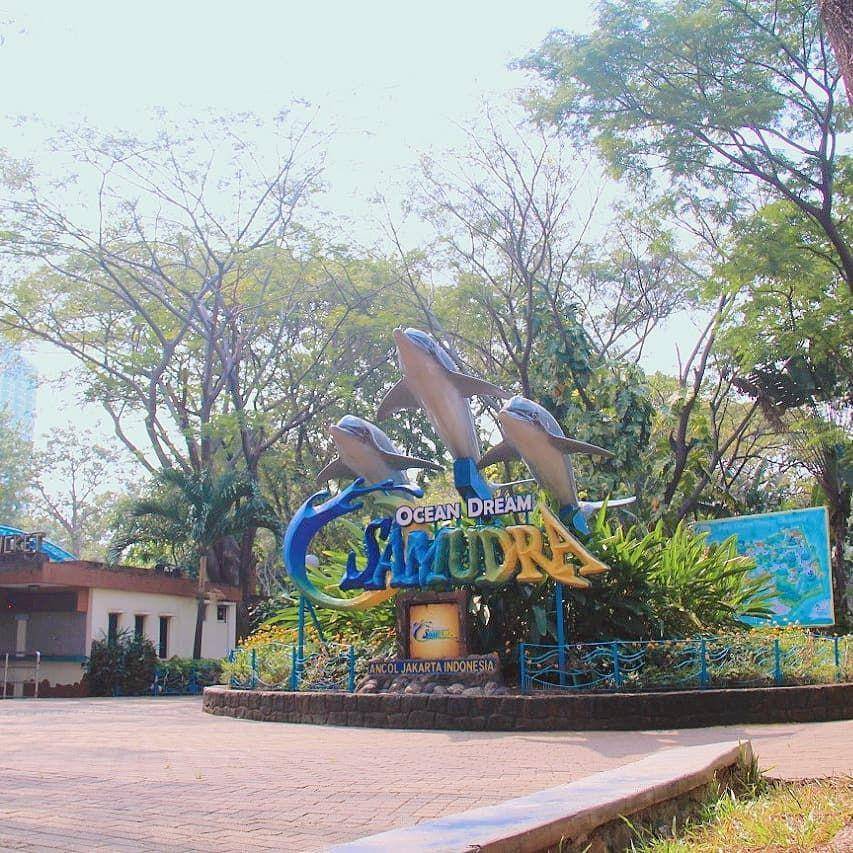 Ocean Dream Samudra (instagram.com/oceandreamsamudra)