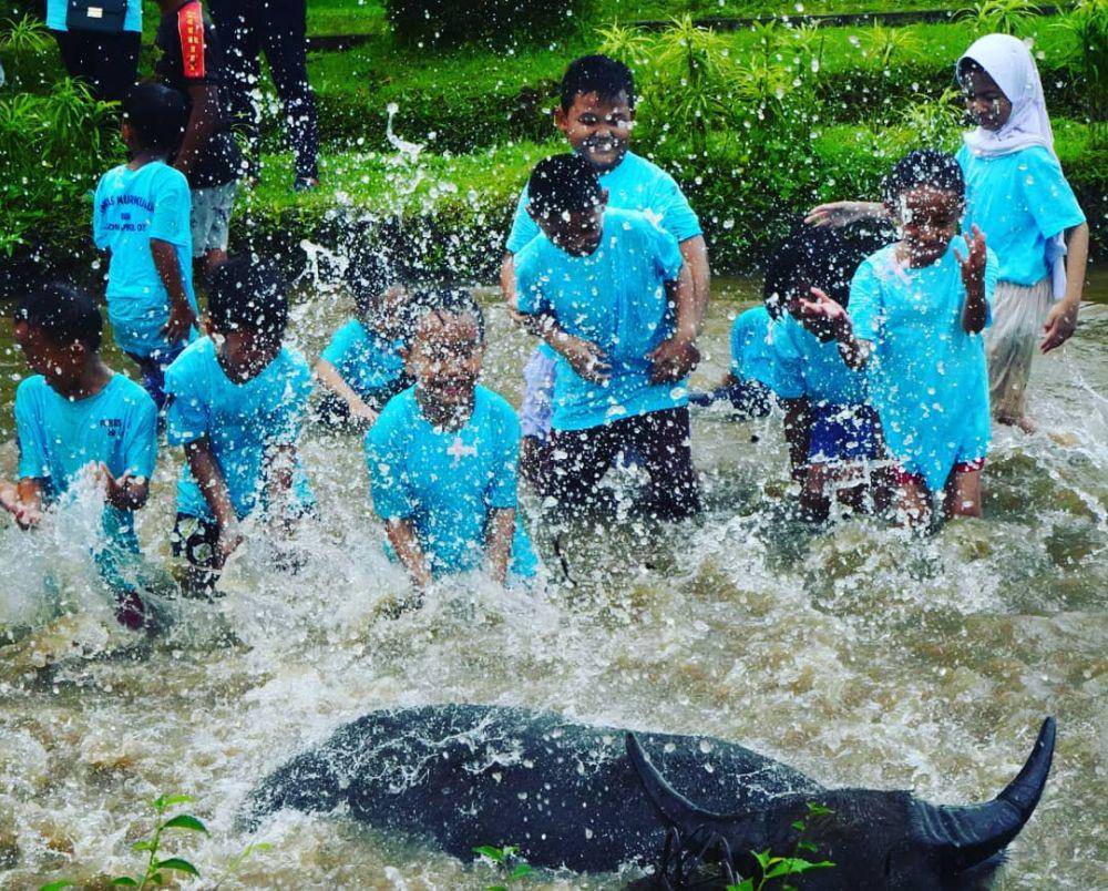 Memandikan kerbau di Kampoeng Wisata Cinangneng (instagram.com/kampoengwisatacinangneng)