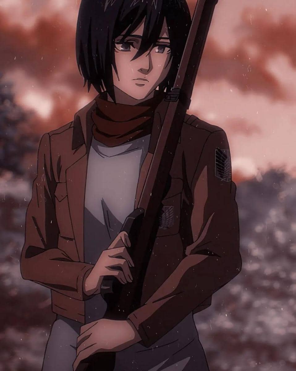 Mikasa Ackerman (instagram.com/acckerman_mikasa)