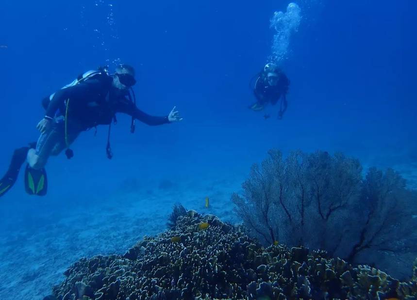 penyelaman anggota Andespin di wilayah terumbu karang (instagram.com/andespindeepwestsumatera)