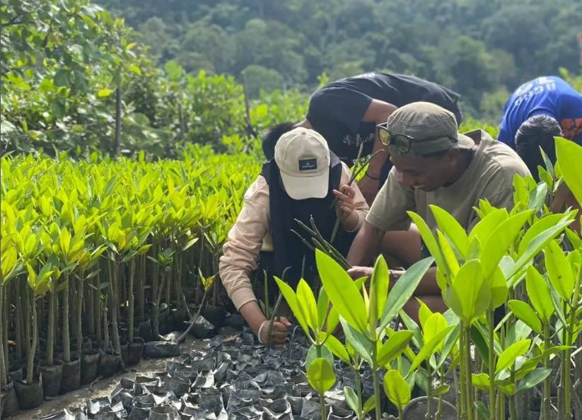 kegiatan pengabdian kepada masyarakat melalui pembibitan mangrove bersama Andespin (instagram.com/andespindeepwestsumatera)