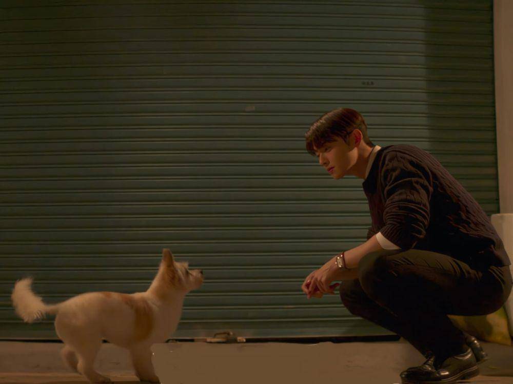 Jin Seo Won saat berhadapan langsung dengan anjing. (instagram/@mbcdrama_now)